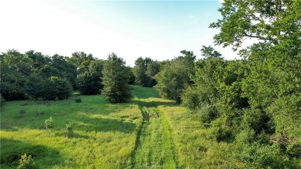Picture 7