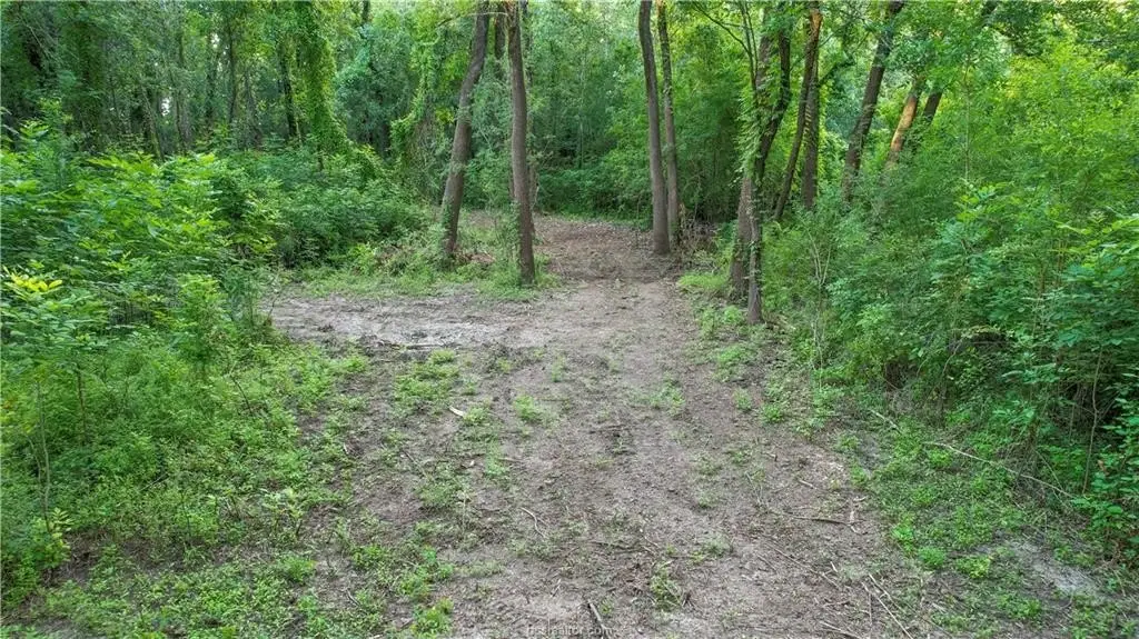 Picture 13