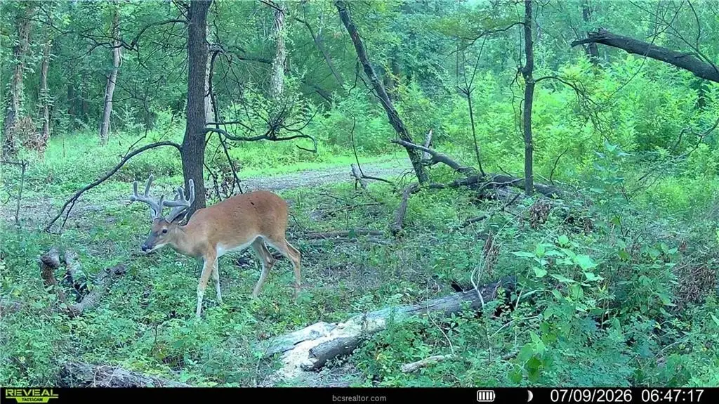 Picture 22