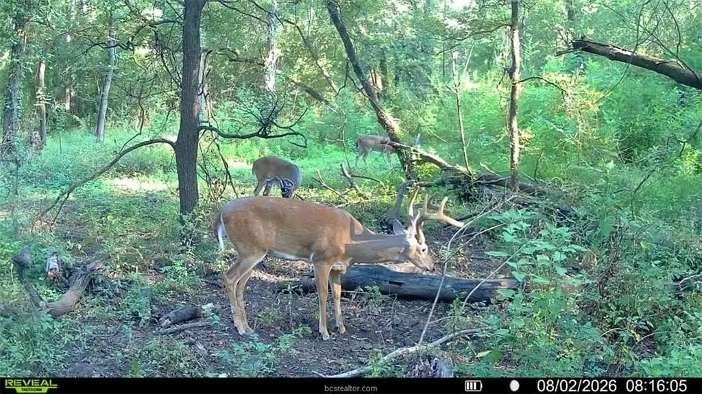Picture 20