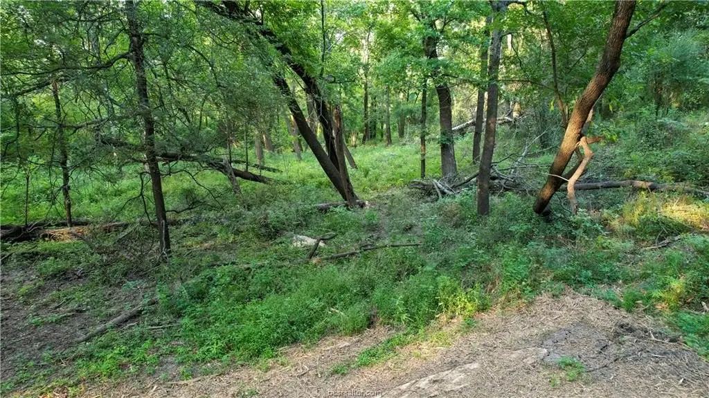 Picture 14