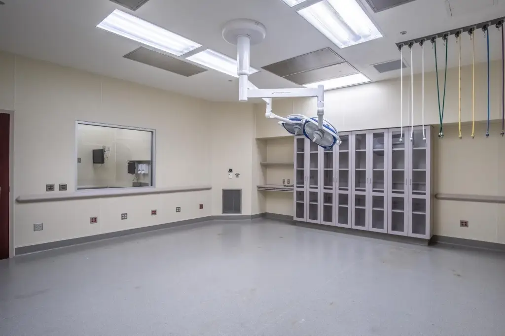 Picture 14