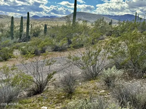 Residential Acreage Land Parcel