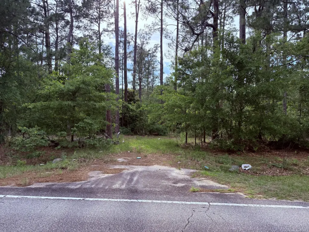 Picture 3