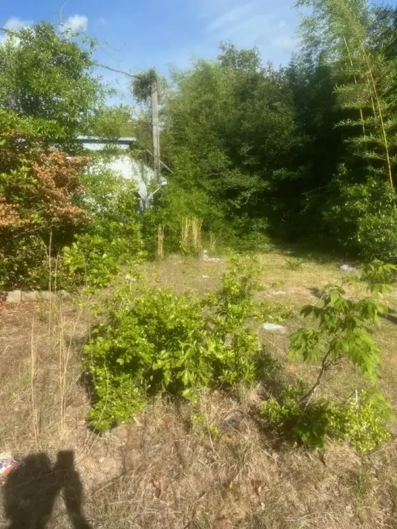 Picture 2