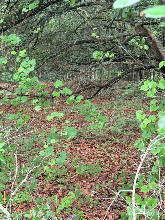 Picture 3