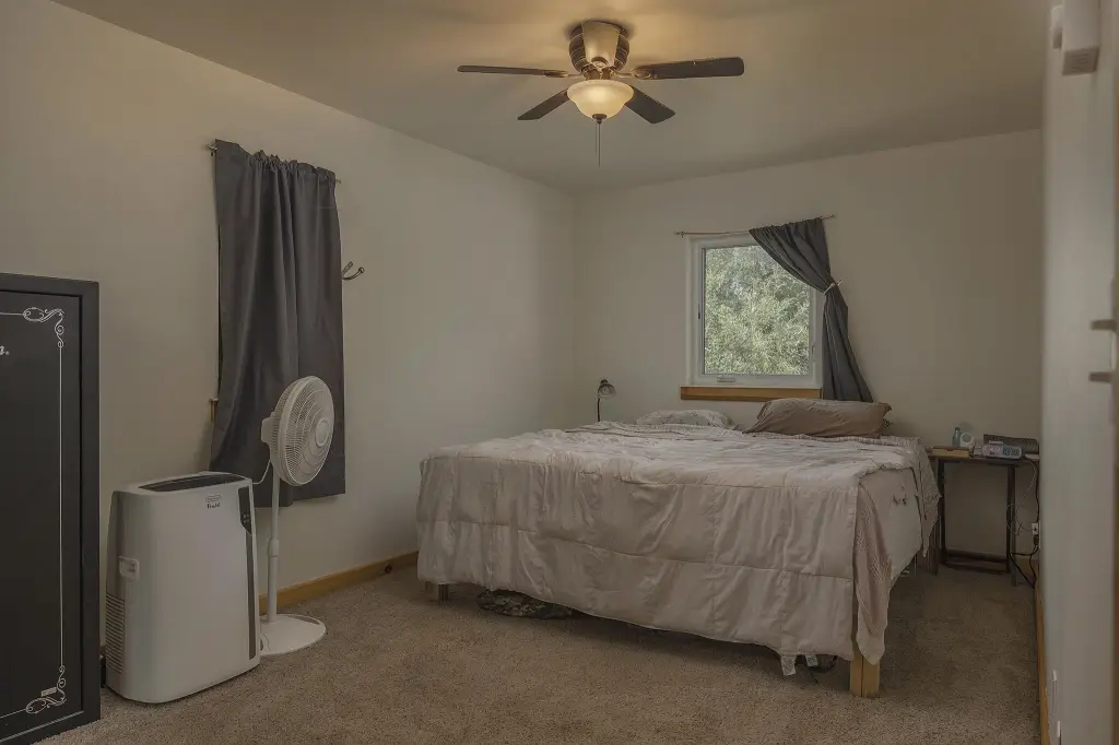 Picture 8