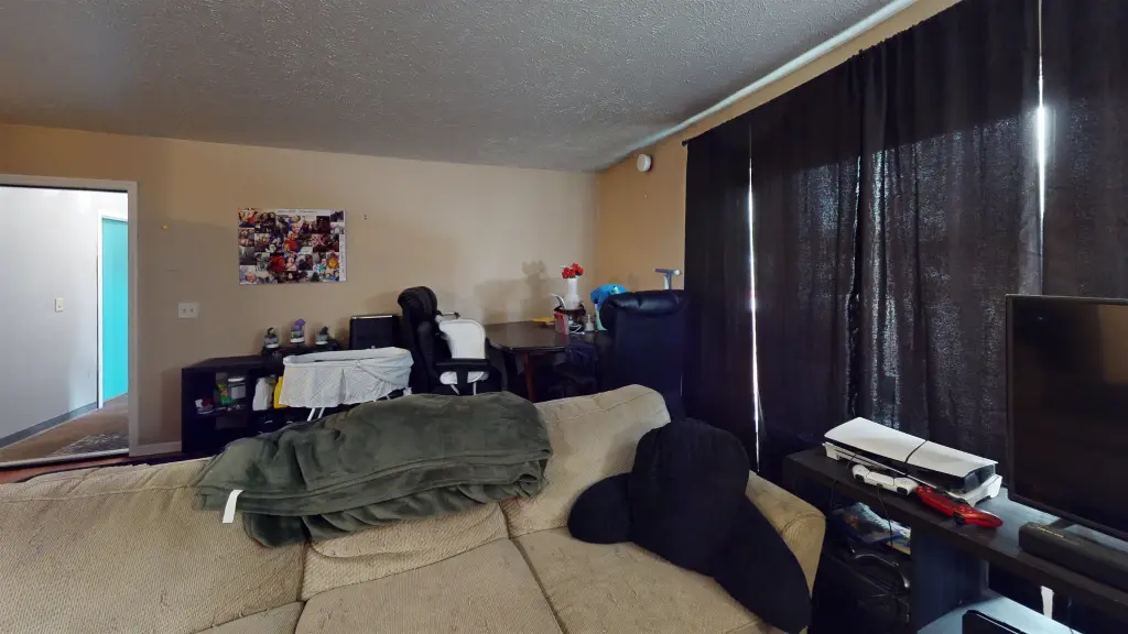 Picture 3