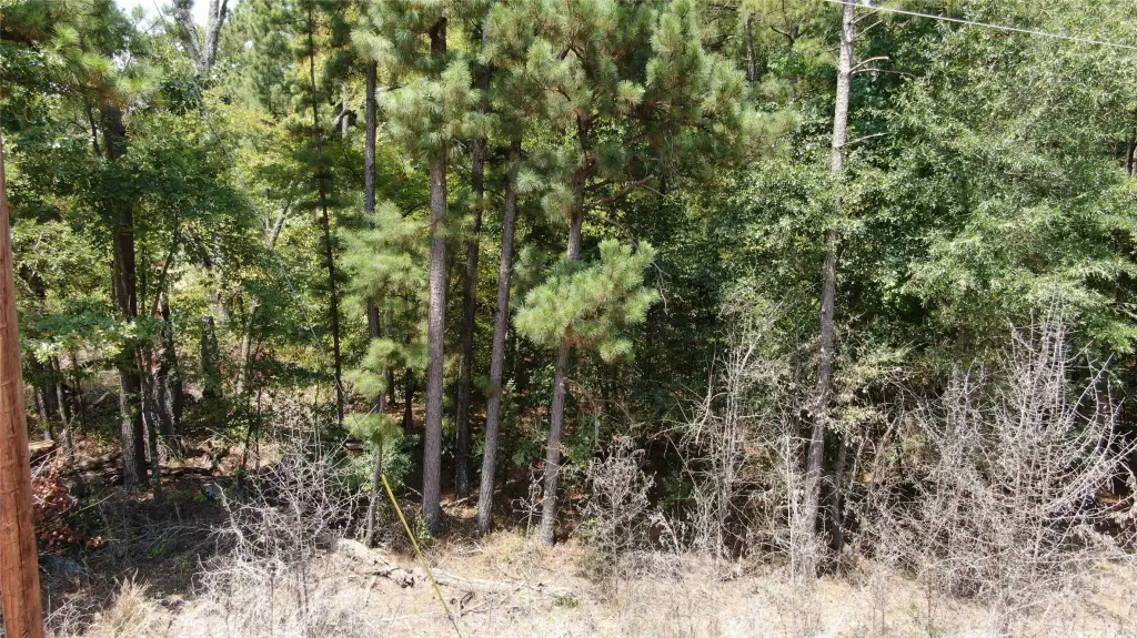 Picture 14