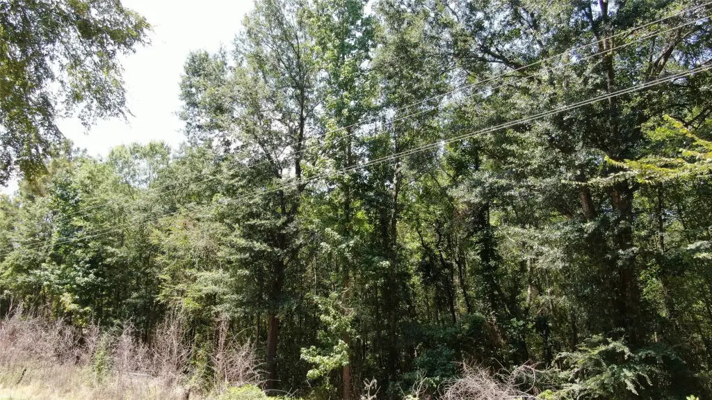 Picture 16