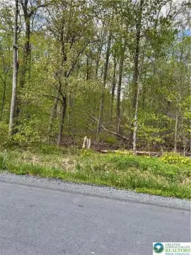 Wooded Lot in Mt. Pocahontas