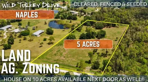 Five Acres in Naples, Florida