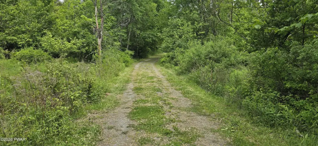Picture 29