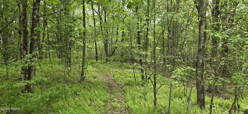 Picture 31