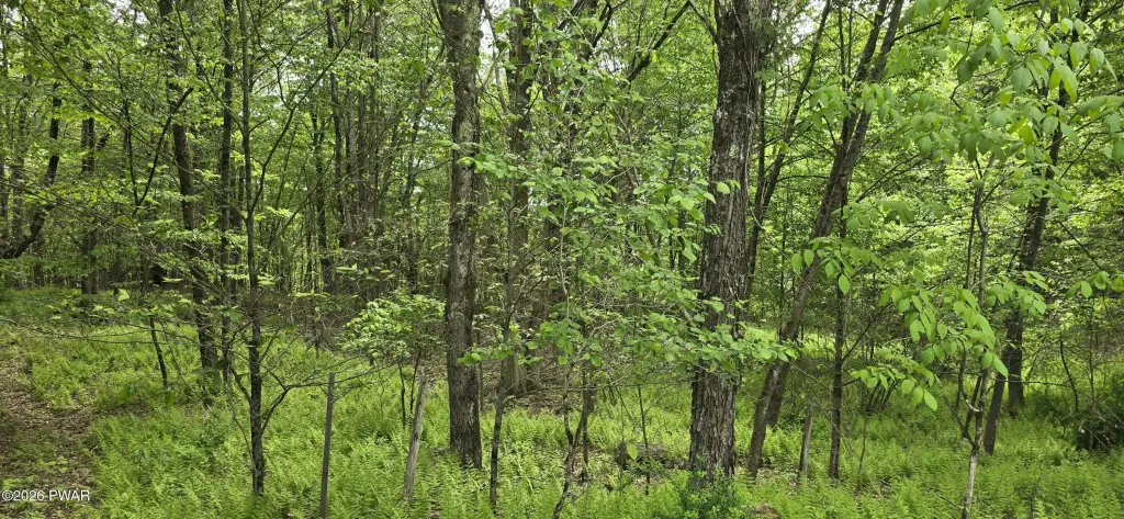 Picture 30