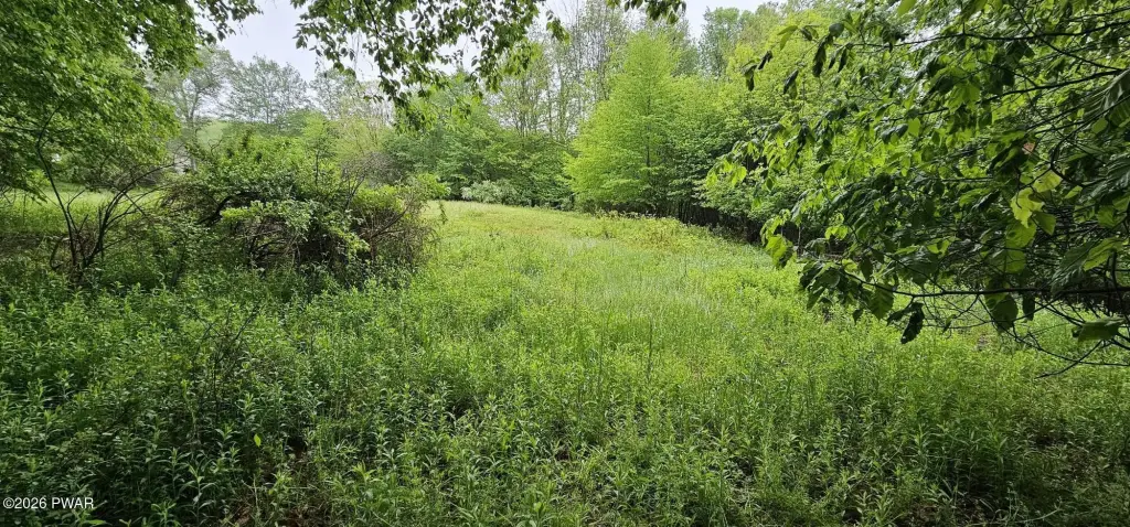 Picture 19