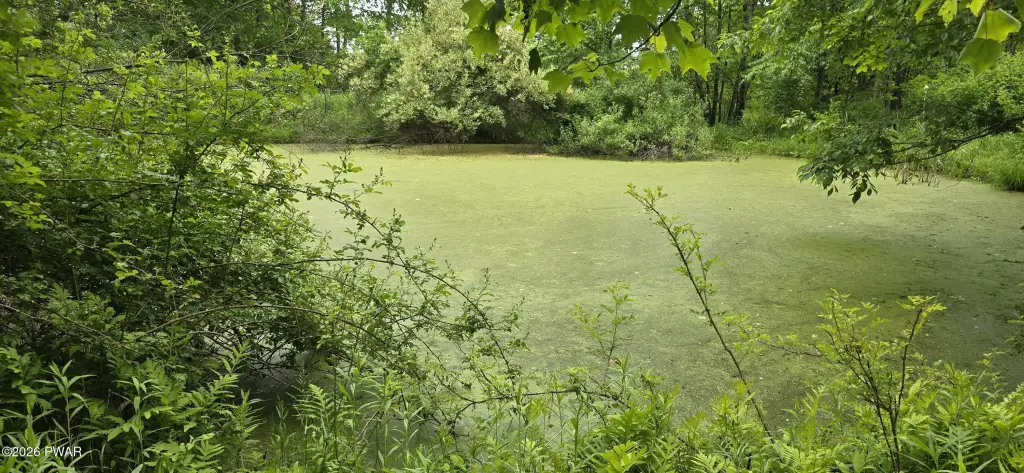 Picture 23