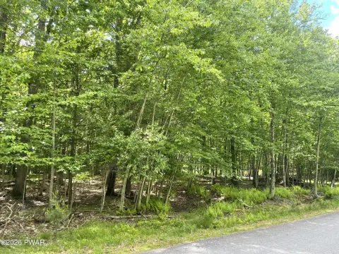 Wooded Residential Land Lot