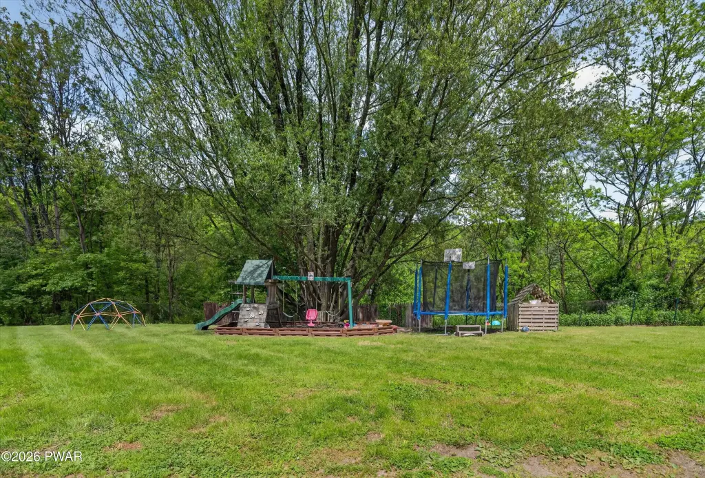 Picture 41