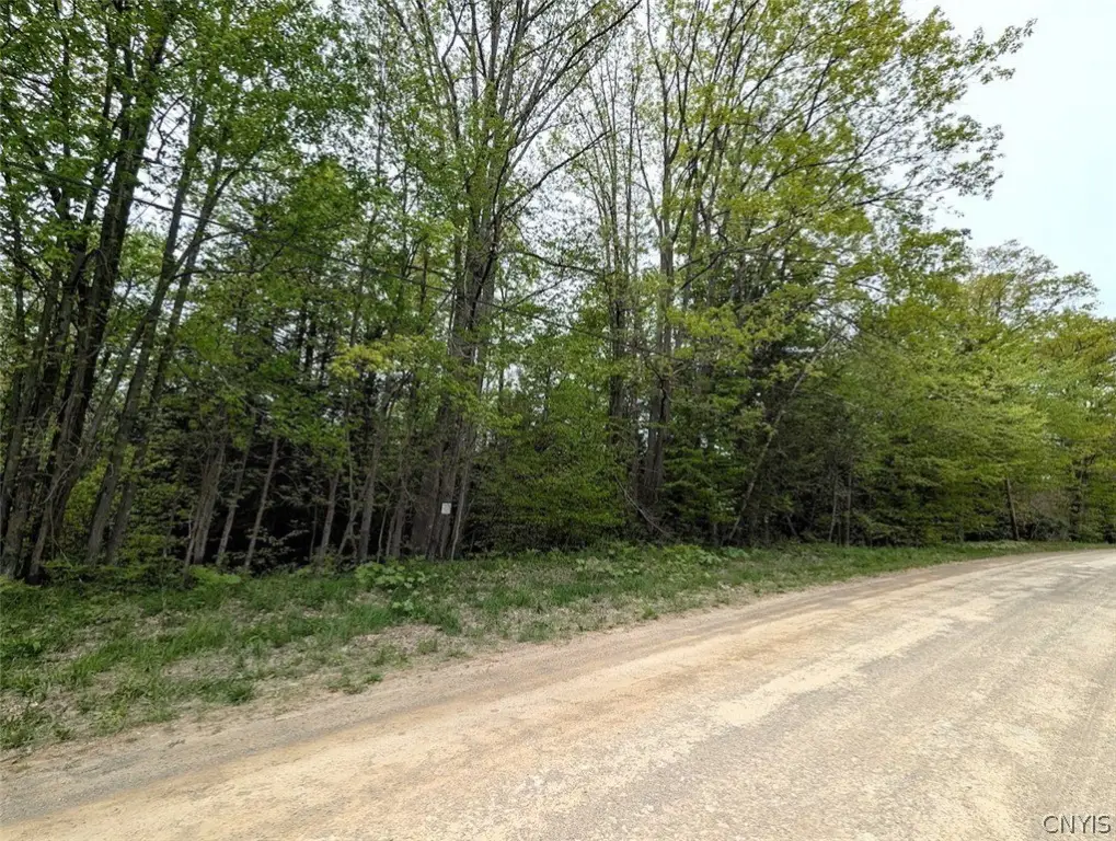 Picture 23