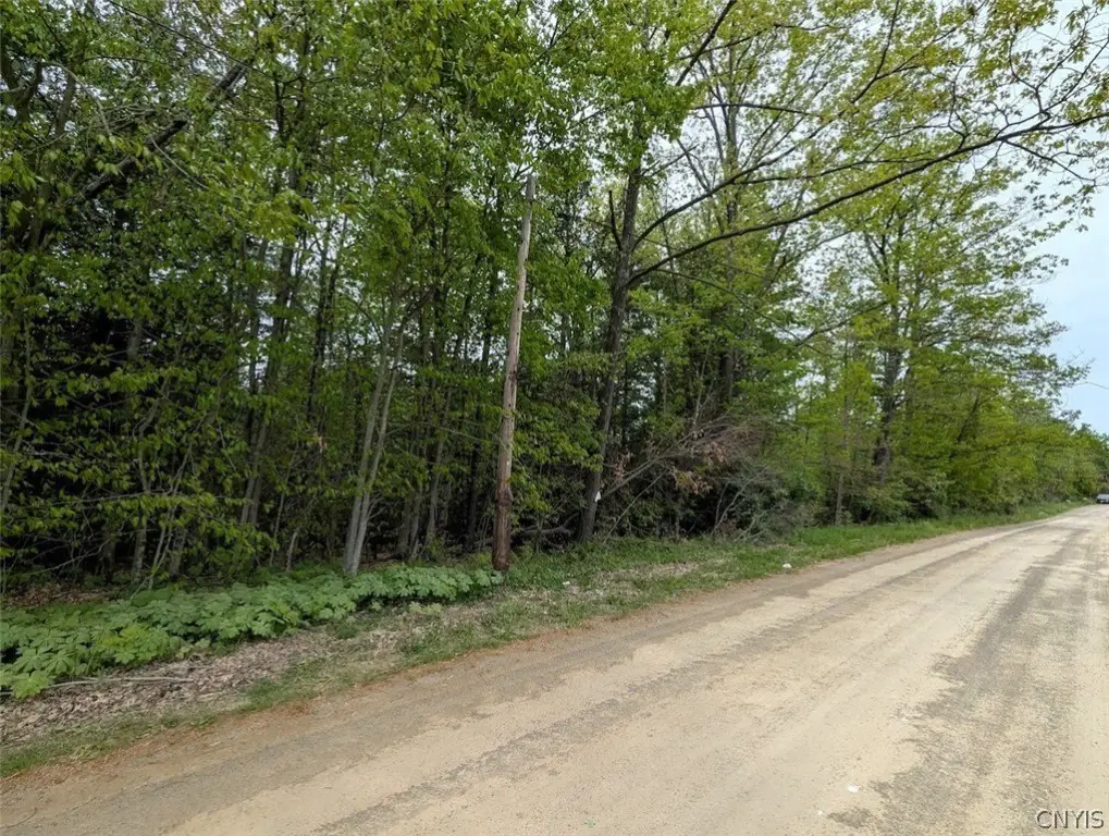Picture 25