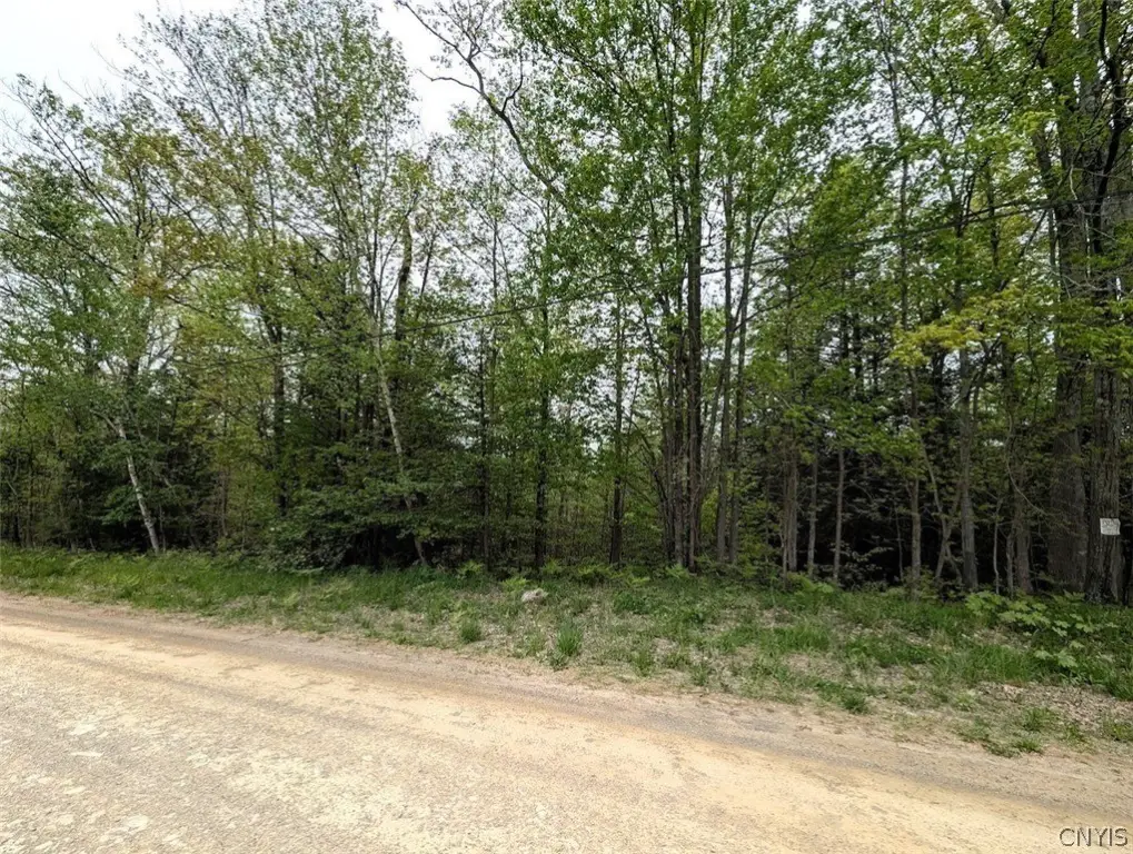 Picture 24