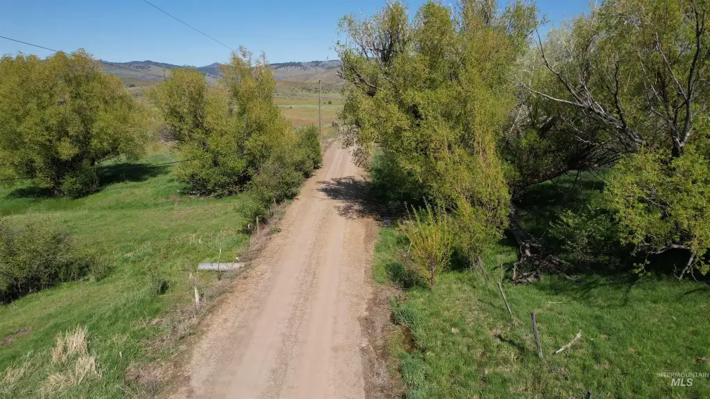 Picture 21