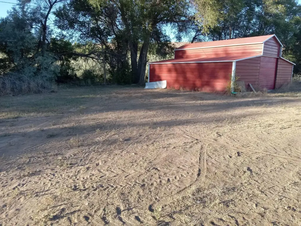 Picture 9