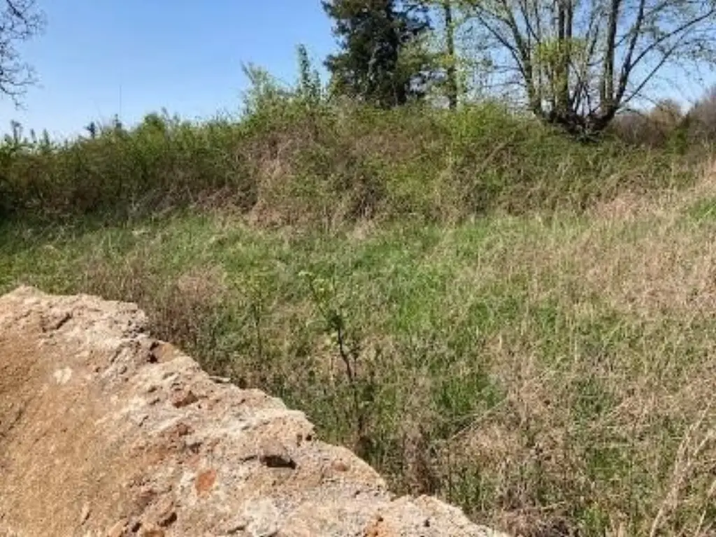 Picture 3