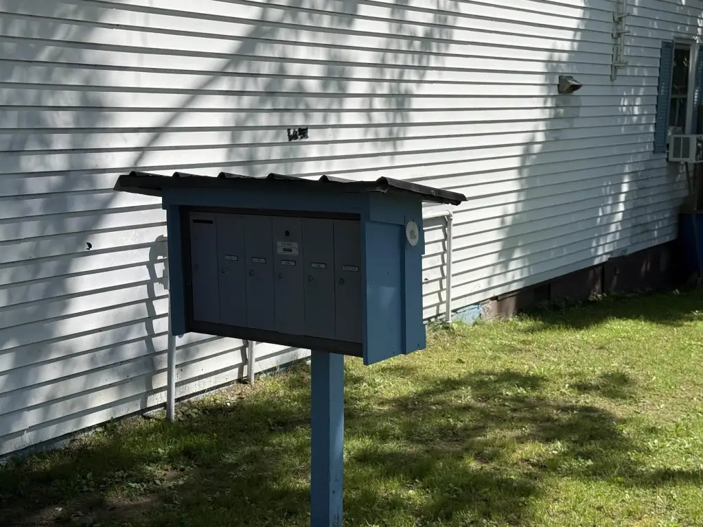 Picture 5