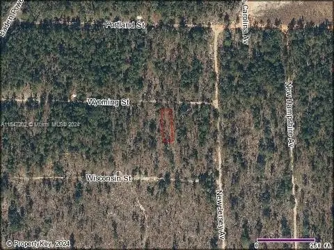 Residential Land in Hawthorne, Ocala