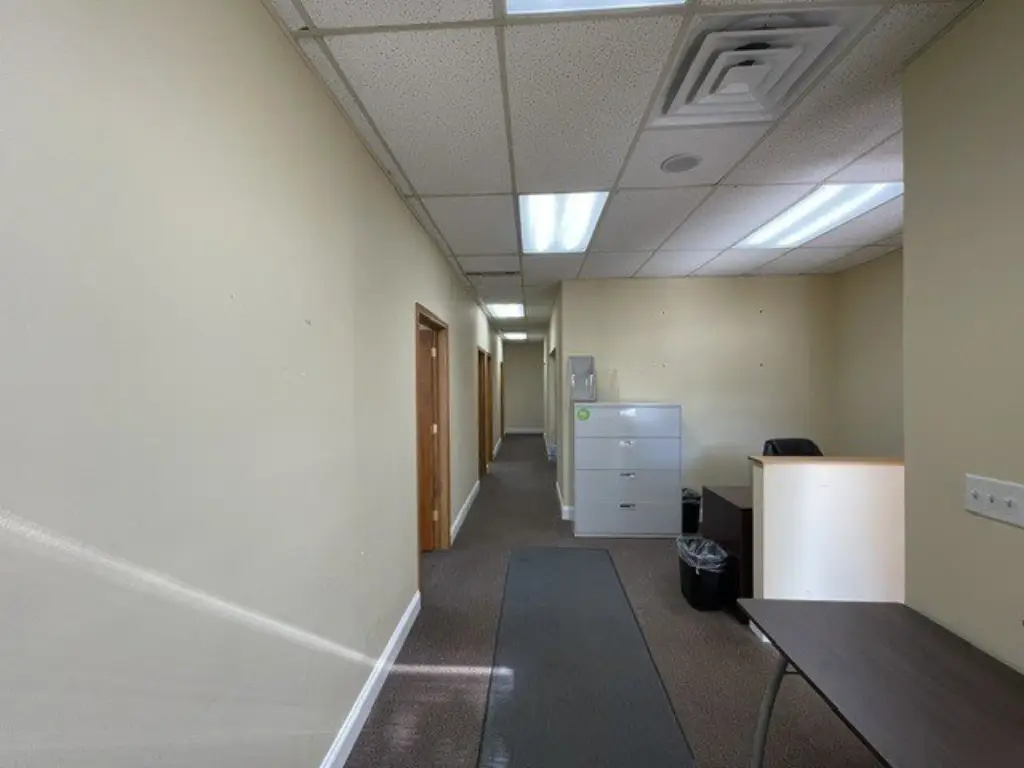 Picture 8