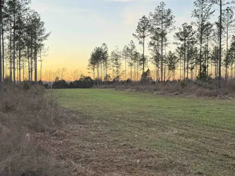 55.5 Acres in Bolivar, TN