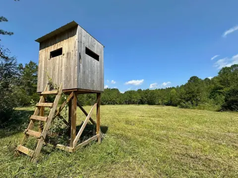 318 Acres Near Bienville Forest