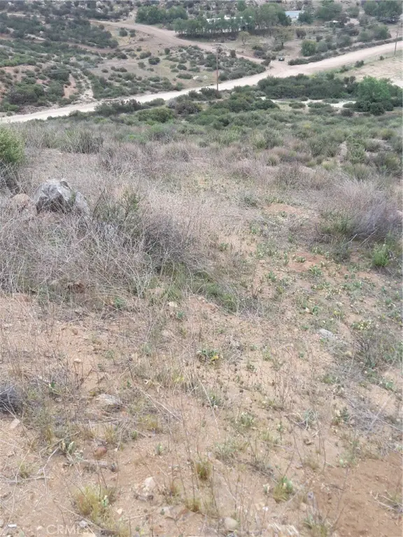 Picture 15
