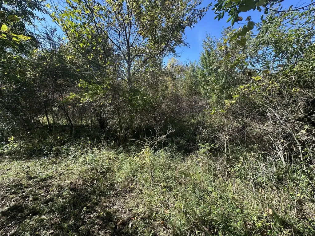 Picture 16