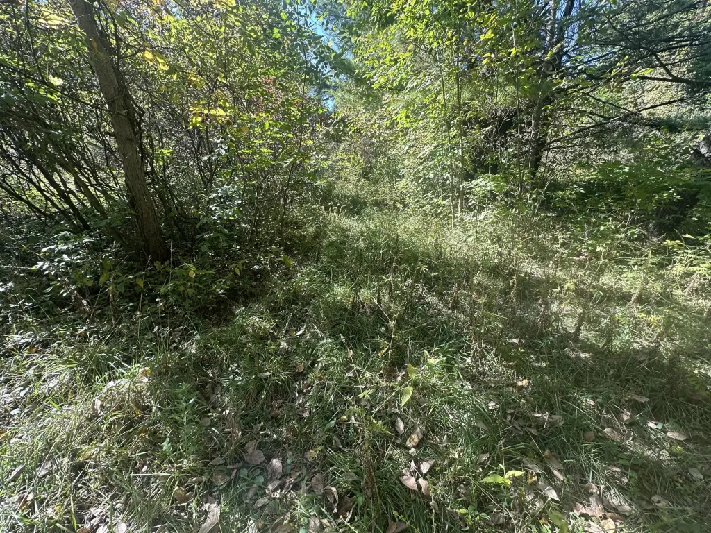 Picture 14