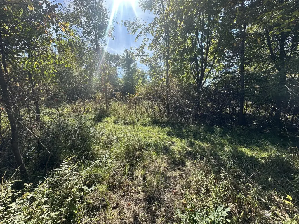 Picture 4