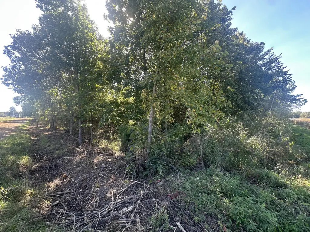 Picture 18