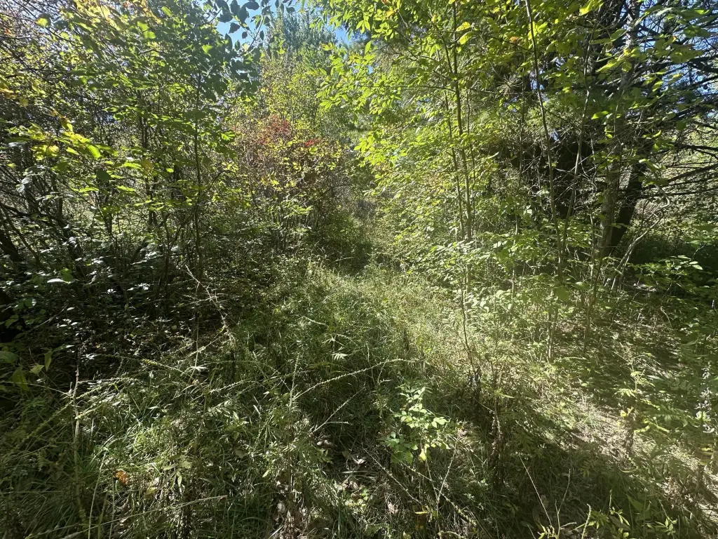 Picture 11