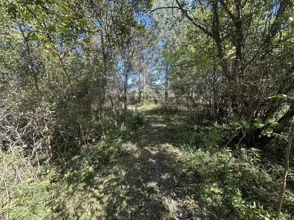 Picture 15