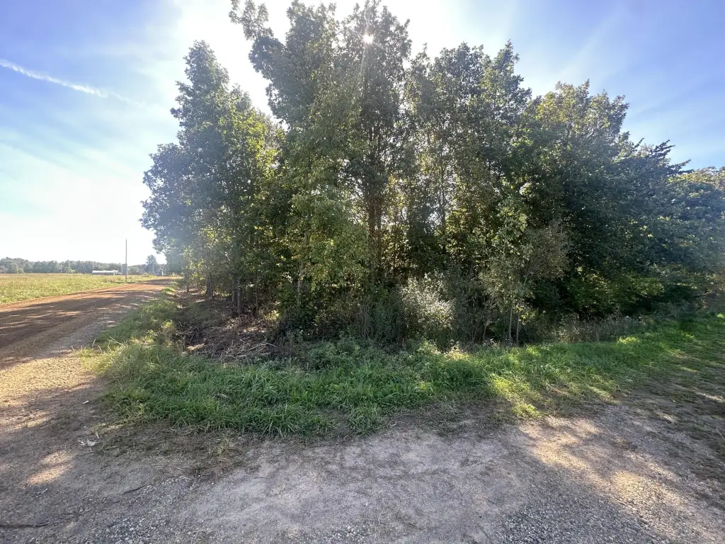 Picture 17