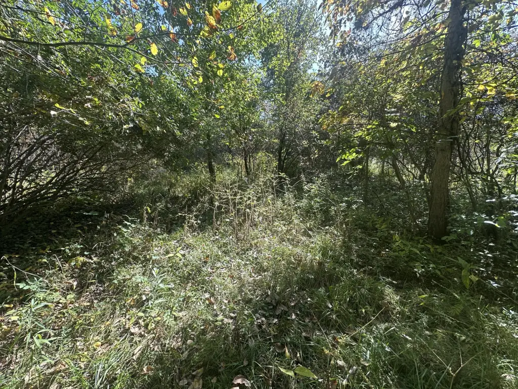 Picture 13