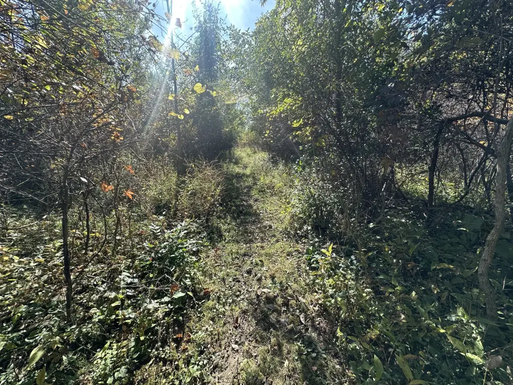 Picture 6
