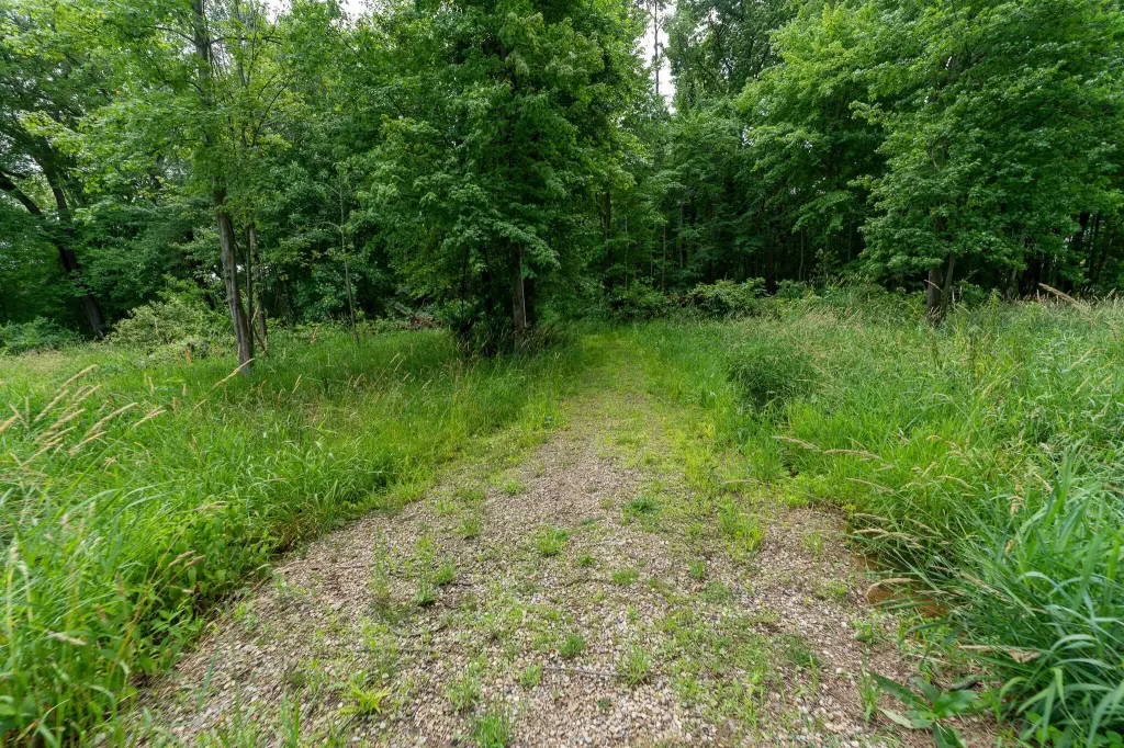 Picture 18