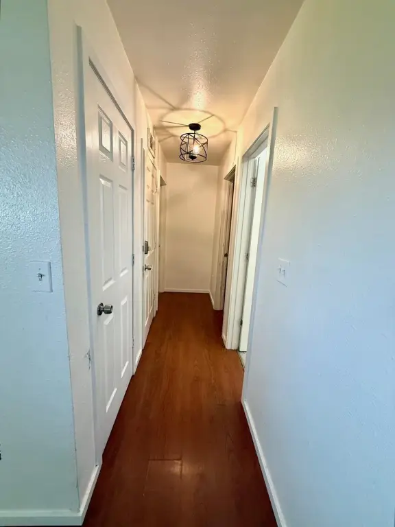 Picture 31