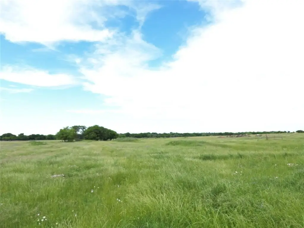 Picture 29