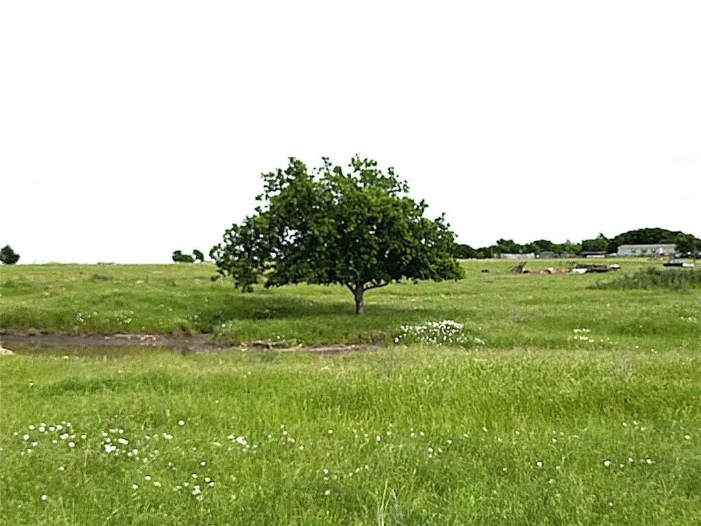 Picture 36