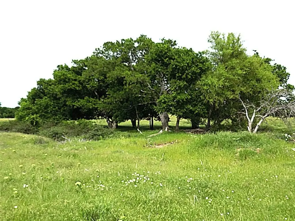 Picture 35