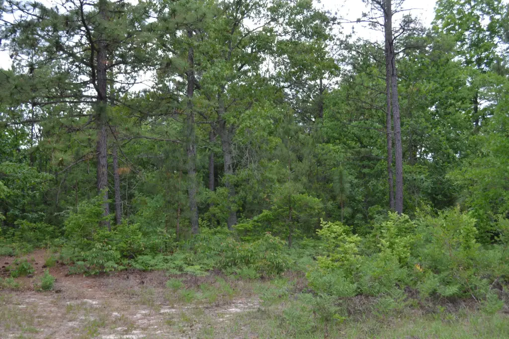 Picture 16
